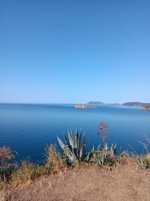 Gli Appartamenti Di Francuzzo Teulada Dış mekan fotoğraf